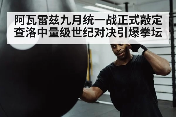 boxer punching heavy bag
